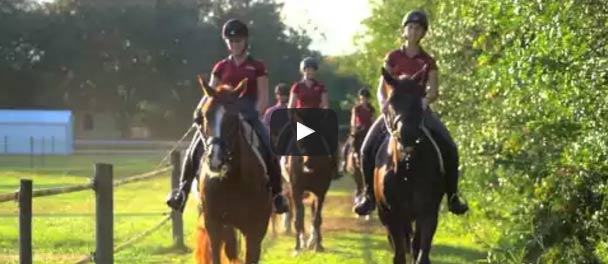 Video: Equestrian Lifestyle by Pastermack Real Estate